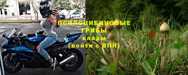 Альфа ПВП Нея