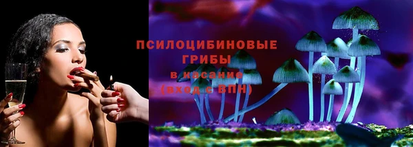 таблы Надым