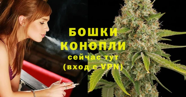 Альфа ПВП Нея